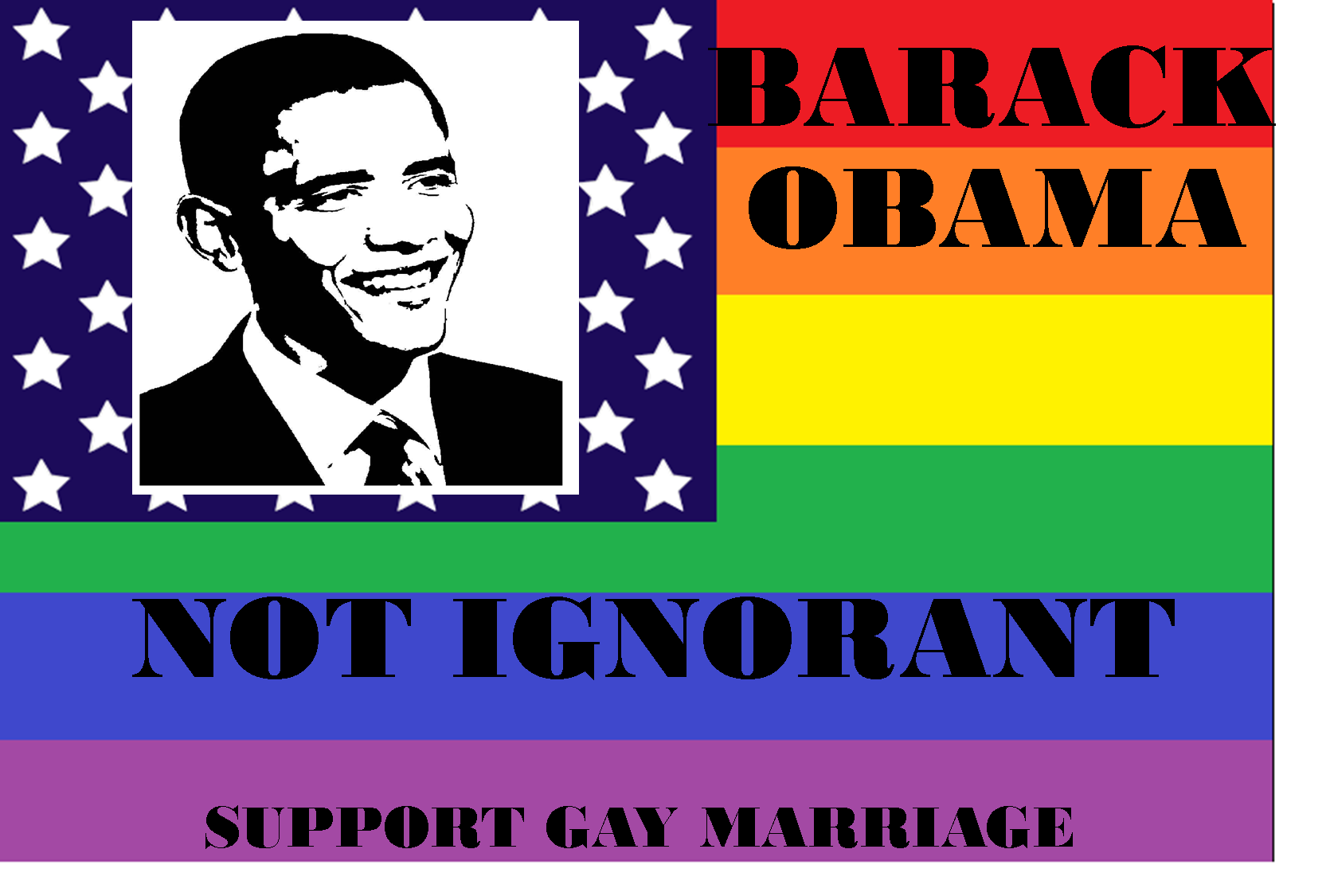 Gay Marriage Propaganda 18